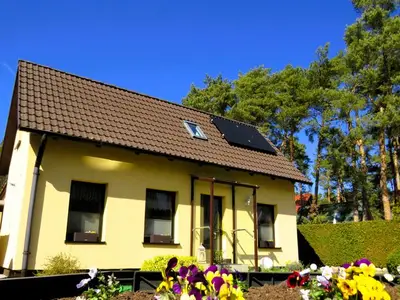 Ferienwohnung für 3 Personen (50 m²) in Kölpinsee (Usedom) 3/10