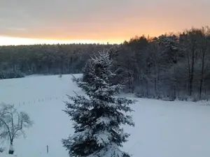 Ferienwohnung für 5 Personen (66 m²) in Lützelbach