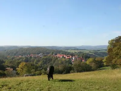 Ferienwohnung für 5 Personen (96 m²) in Lichtenfels (Hessen) 4/10