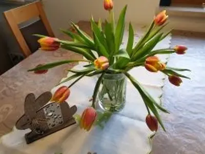 Ferienwohnung für 3 Personen (60 m²) in Waischenfeld 6/10