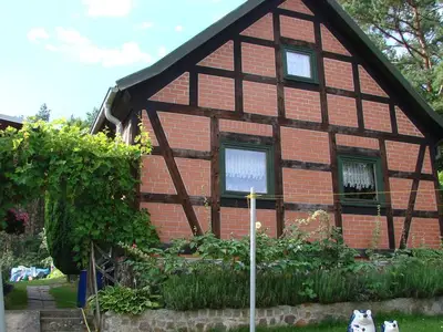 Ferienwohnung für 3 Personen (50 m²) in Kölpinsee (Usedom) 2/10