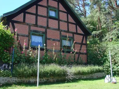 Ferienwohnung für 3 Personen (50 m²) in Kölpinsee (Usedom) 3/10