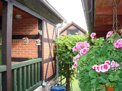 Ferienwohnung für 3 Personen (50 m²) in Kölpinsee (Usedom) 6/10
