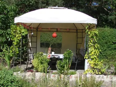 Ferienwohnung für 3 Personen (50 m²) in Kölpinsee (Usedom) 8/10