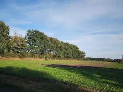 Ferienwohnung für 4 Personen (60 m²) in Kleinhollen 7/10
