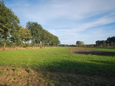 Ferienwohnung für 4 Personen (60 m²) in Kleinhollen 9/10