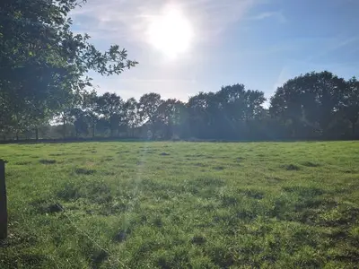 Ferienwohnung für 4 Personen (60 m²) in Kleinhollen 10/10