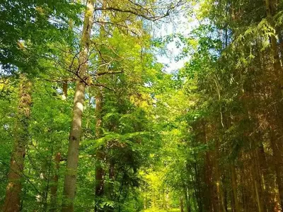 Ferienwohnung für 4 Personen (40 m²) in Meschede 7/10