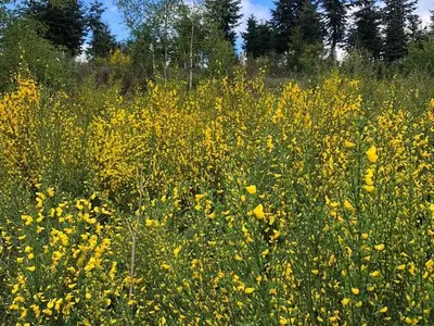 Ferienwohnung für 4 Personen (40 m²) in Meschede 8/10