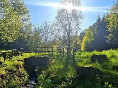 Ferienwohnung für 4 Personen (40 m²) in Meschede 9/10