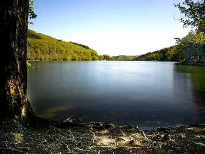 Ferienwohnung für 4 Personen (40 m²) in Meschede 10/10