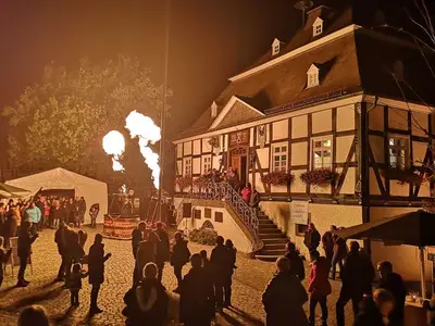 Ferienwohnung für 4 Personen (40 m²) in Meschede 3/10