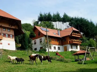 Ferienwohnung für 5 Personen (70 m²) in Schuttertal 1/10