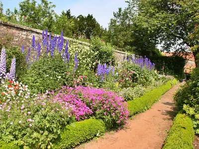 GardenSummer