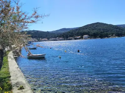 AreaSummer1KM