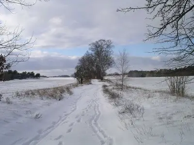 Ferienwohnung für 3 Personen (60 m²) in Rheinsberg 1/10
