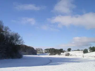 Ferienwohnung für 3 Personen (60 m²) in Rheinsberg 3/10