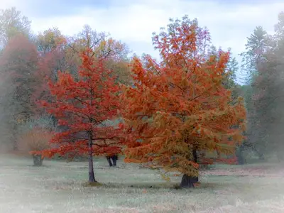 Ferienwohnung für 3 Personen (60 m²) in Rheinsberg 5/10