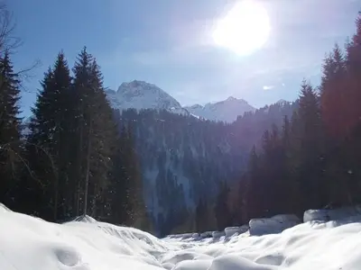 Ferienwohnung für 2 Personen in Schoppernau 1/9