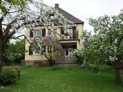 Ferienwohnung für 4 Personen (70 m²) in Marburg 8/10