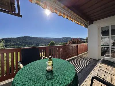 Terrasse / Balkon