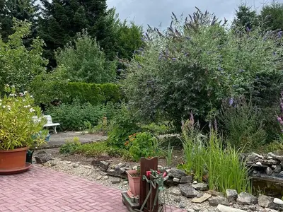 Ferienwohnung für 6 Personen (80 m²) in Gersheim 6/10