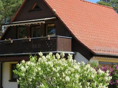 Ferienwohnung für 4 Personen (60 m²) in Kölpinsee (Usedom) 4/10