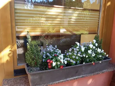 Ferienwohnung für 4 Personen (60 m²) in Kölpinsee (Usedom) 8/10