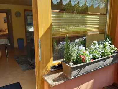 Ferienwohnung für 4 Personen (60 m²) in Kölpinsee (Usedom) 9/10