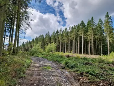 AreaSummer20KM