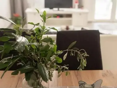 Ferienwohnung für 4 Personen in Korčula 6/10