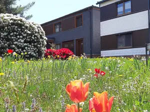 Ferienwohnung für 3 Personen (50 m²) in Meuselbach-Schwarzmühle