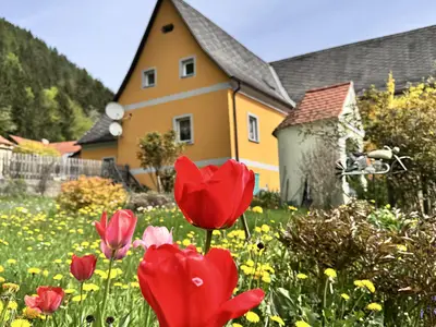 Ferienwohnung Mixnitz Bärenschützklamm_Hausanischt