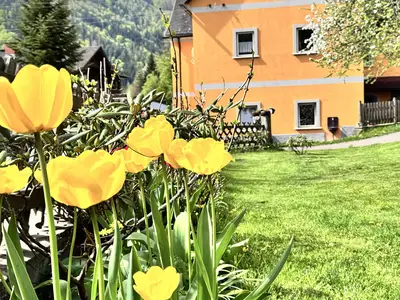 Ferienwohnung Mixnitz Bärenschützklamm_Außenanisch