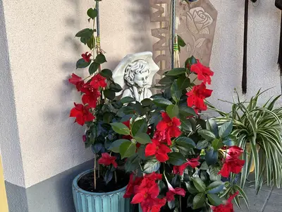 Blumen