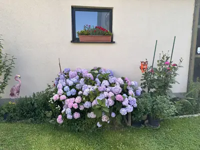 Blumen