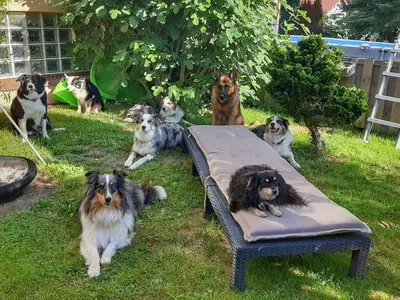 Ferienwohnung für 6 Personen (100 m²) in Rohrbach 4/10