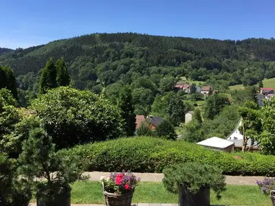 Ferienwohnung für 4 Personen (96 m²) in Wald-Michelbach 4/10