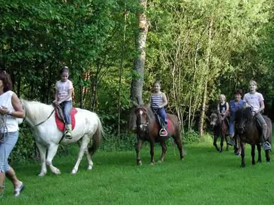 PensionSchneider_Reiten.jpg