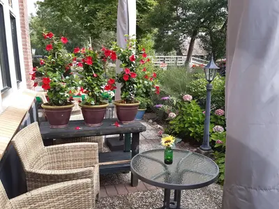 TerraceBalcony