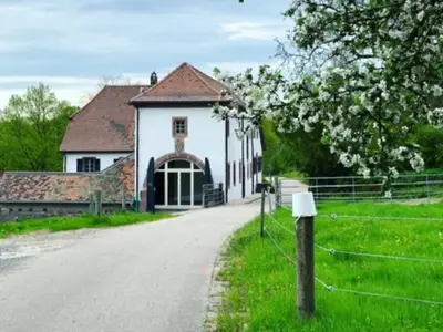 Blick von Westen auf den Hof