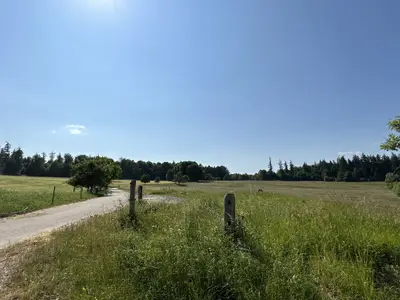 Blick von der Terrasse auf die Wiese