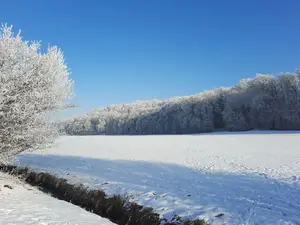 Ferienwohnung für 5 Personen (80 m²) in Walleshausen