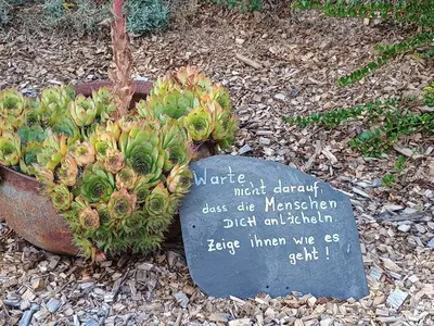 Ferienwohnung für 7 Personen (83 m²) in Wonsees 10/10
