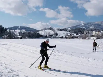 AreaWinter1KM