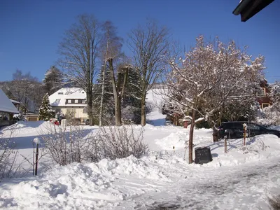 GardenWinter