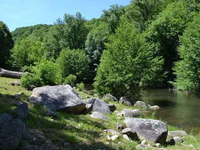 Bild 9