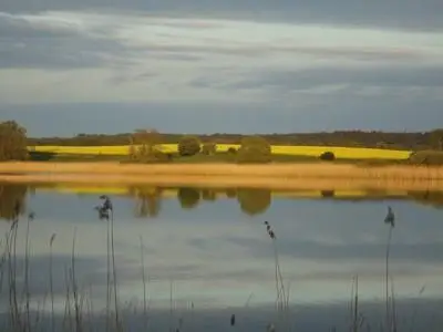 Blick über den See zur Rapsblüte