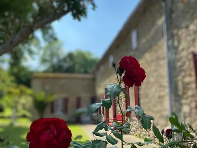 Ferienhaus aus Naturstein: Entspannung & Weinregion Gironde genießen