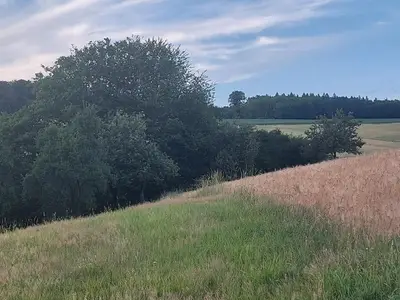 Umgebung von Berg/Ts.